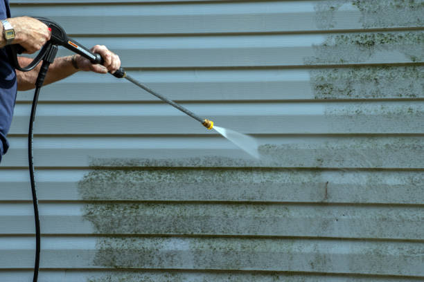 Best Roof Pressure Washing  in Knox, IN