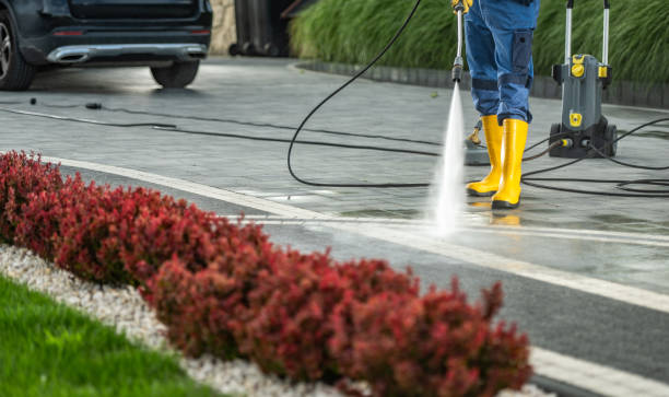 Best Fence Pressure Washing  in Knox, IN